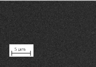 Grain Growth of a High Entropy Alloy Thin Film