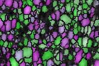 Grain Growth of a High Entropy Alloy Thin Film