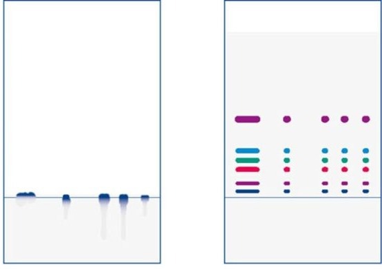 Separative TLC Plates for Purification