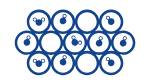 BTA: Breakthrough Analyzer and Selective Adsorption System