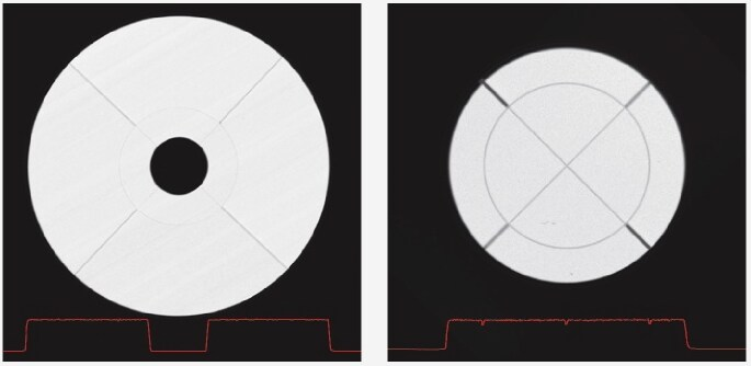 Scanning image of the 16 segmented ring and disk detectors with an intensity profile (in red) proving the excellent homogeneity of sensitivity across the segments.