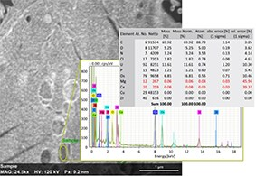 Gain insights into elemental composition.