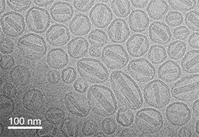 Characterize quality attributes of nanoparticles.