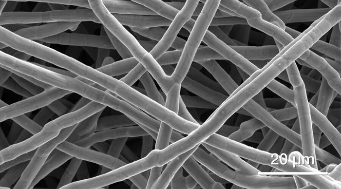 Metals and alloys (metallic filter).