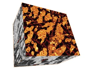Volume reconstruction of a mouse heart muscle. Data acquired by a combination of physical and virtual slicing in high vacuum mode. Volume = 16×15×11 μm3 with a nominal resolution of 5×5×10 nm.