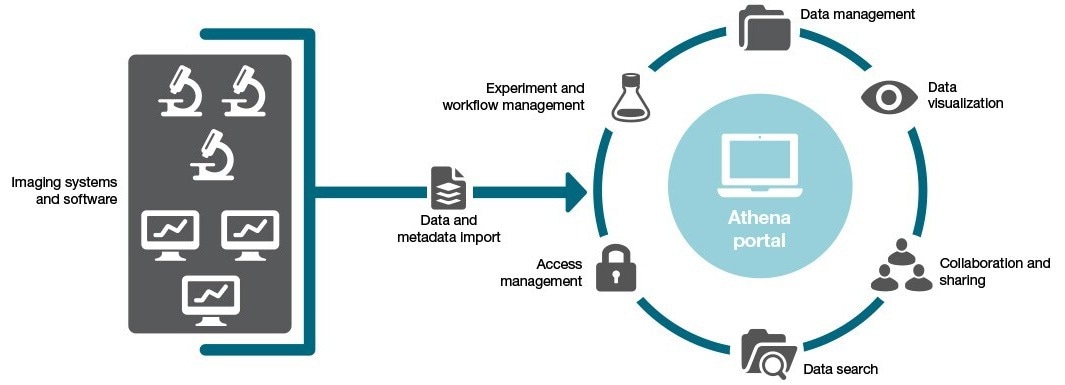 Streamlining Imaging Workflow for Core Facilities with Athena Software