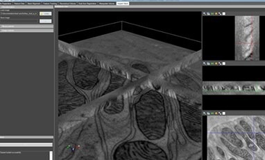 Inspect 3D reconstructed 3D volume screen capture.