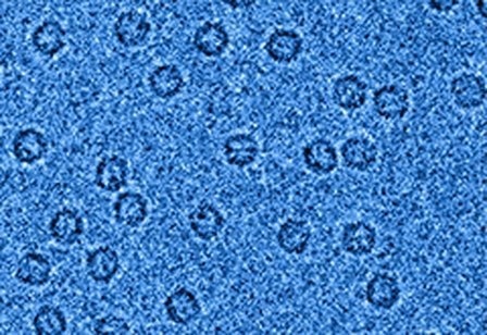 DECTRIS SINGLA® Fast and Most Sensitive Hybrid-Pixel Detector