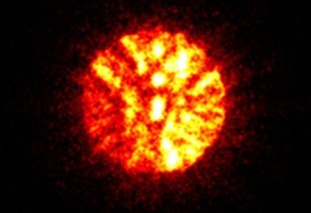DECTRIS ELA® Hybrid-Pixel Electron Detector