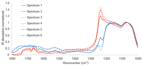 IR absorption spectra from 260 nm regions of interest with positions indicated in figure 2. Note both the substantial spectral variation over 260 nm length scales and spectral similarity in the alternating regions of the periodic structures (striae) in the diatom frustule. Spectra are normalized to 1072 cm-1.