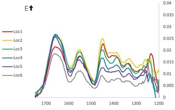 FL-PTIR spectra extracted from along the collagen fibril in figure 5. Spectra were collected with vertical (top) and horizontal (bottom) IR polarization orientations