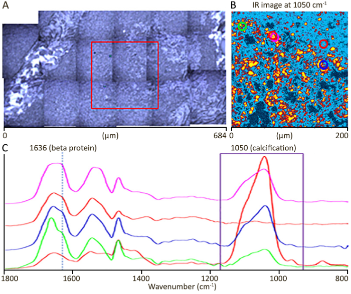 mIRage® IR Microscope: Fast, Artifact-Free Sub-Micron Spectroscopy and Imaging