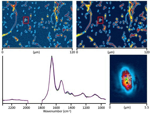 mIRage® IR Microscope: Fast, Artifact-Free Sub-Micron Spectroscopy and Imaging