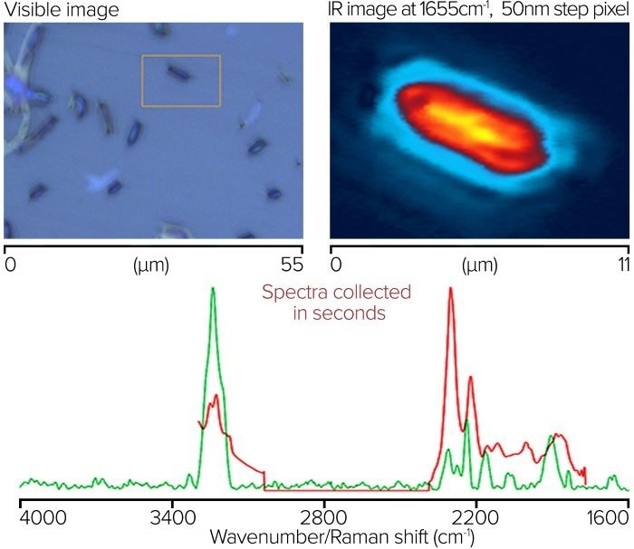 mIRage® IR Microscope: Fast, Artifact-Free Sub-Micron Spectroscopy and Imaging
