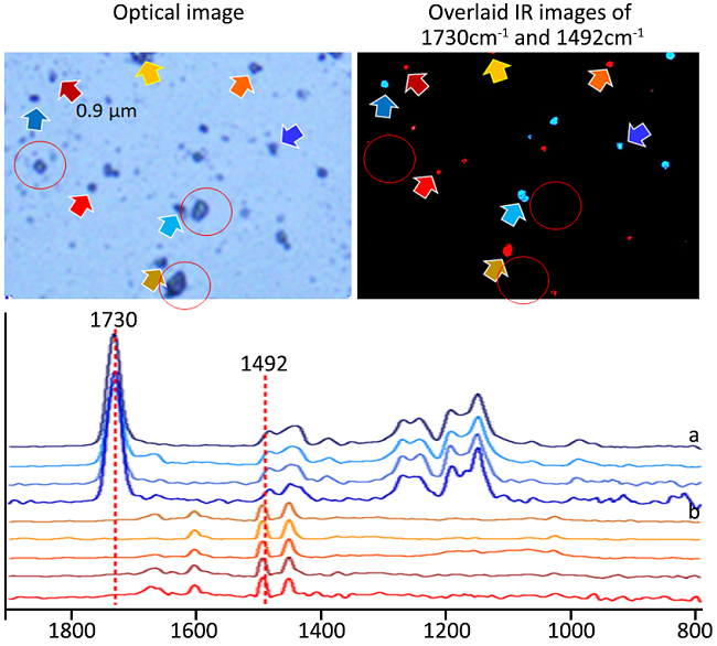 Integrated O-PTIR, Raman, and Fluorescence Microscopy Platform