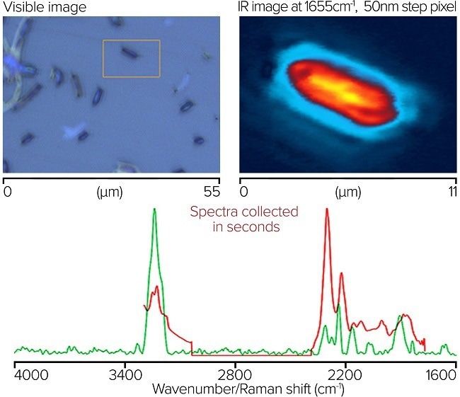 Integrated O-PTIR, Raman, and Fluorescence Microscopy Platform