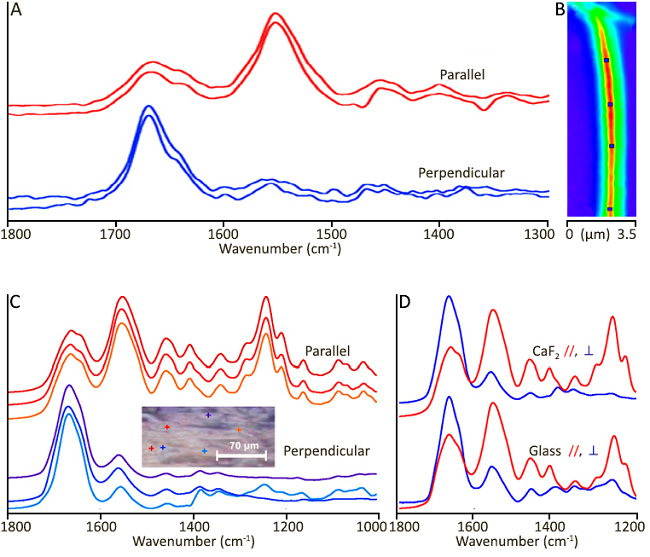 Integrated O-PTIR, Raman, and Fluorescence Microscopy Platform