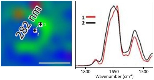 Integrated O-PTIR, Raman, and Fluorescence Microscopy Platform