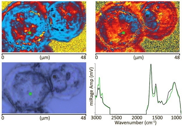 Integrated O-PTIR, Raman, and Fluorescence Microscopy Platform