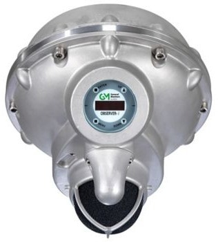 Solutions for Detecting Ammonia Gas Leaks