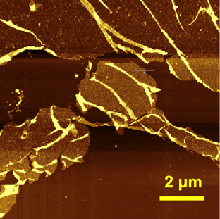 Transforming AFM Systems with the Galaxy Dual Controller