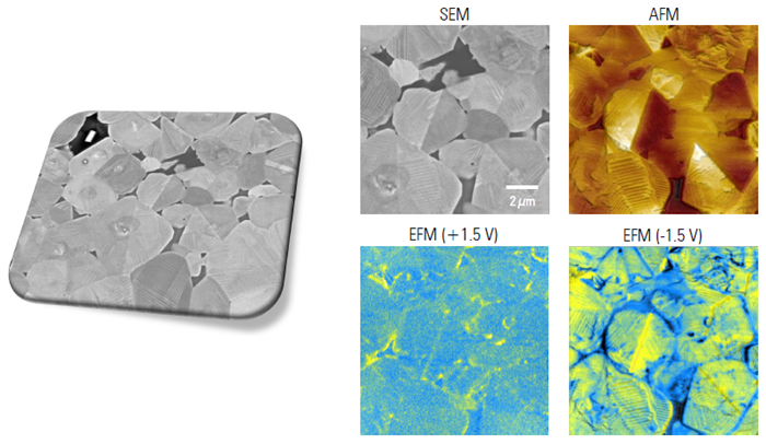 FusionScope - Integrated AFM, SEM, and EDS