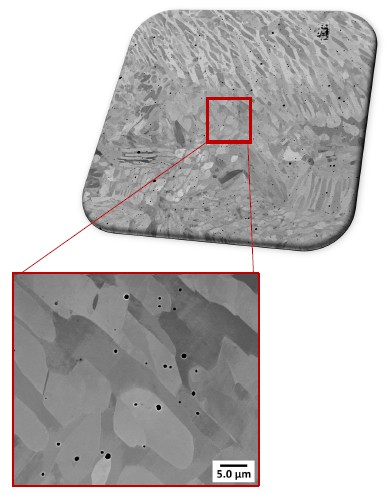 FusionScope - Integrated AFM, SEM, and EDS