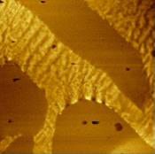 FusionScope - Integrated AFM, SEM, and EDS
