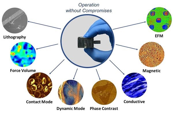 Simultaneous AFM and SEM with AFSEM®