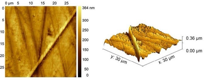 AFSEM image of a polymer surface obtained in contact mode