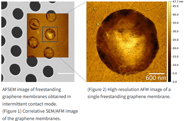 Simultaneous AFM and SEM with AFSEM®