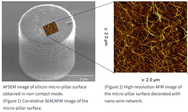 Simultaneous AFM and SEM with AFSEM®