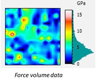 Force volume data of the same area