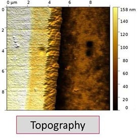 AFM Topography image of the electrode structure