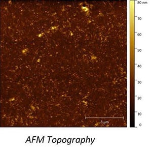 AFSEM MFM image obtained on a multilayered magnetic sample. (Figure 1) AFM Topography