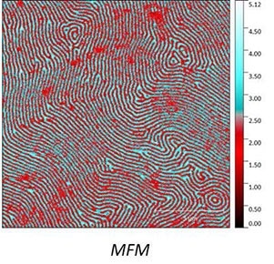 MFM Phase contrast revealing the different magnetic domains