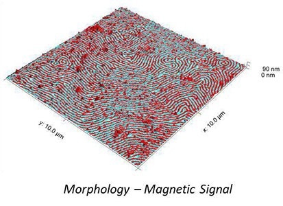 Overlay of topography and magnetic signal
