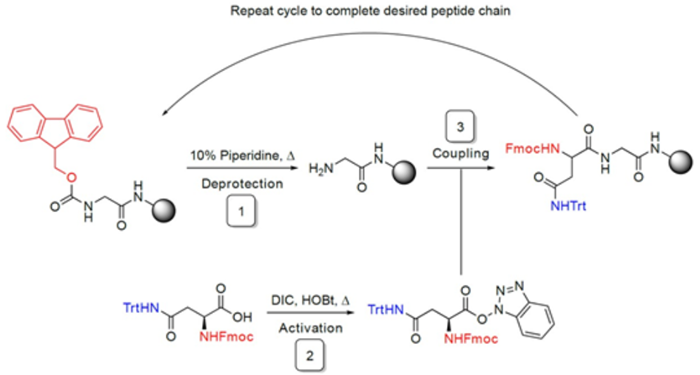 Optimize the Peptide Synthesis Process with Peptide-ExplorerLT