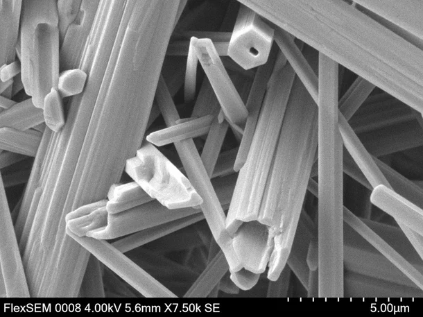 FlexSEM II Scanning Electron Microscope: Super-Compact VP-SEM