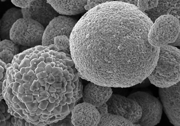 FlexSEM II Scanning Electron Microscope: Super-Compact VP-SEM