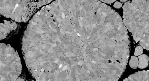 NMC cathode cross section