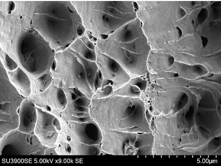 Fracture surface of iron wire. Microcavitation due to ductile failure can be seen