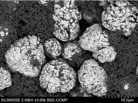 Lithium-ion battery cathode material. Distributions of cathode material particles and surrounding binder can be seen