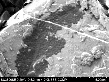 Lithium-ion battery anode material. Lithium-ion battery anode material and binder is clearly distinguished using static voltage contrast
