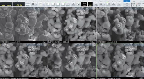 SU7000 & SU8700 Schottky Field Emission SEMs: Ultra High-Resolution & Analytical Imaging