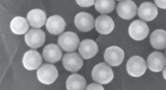 Nanoparticles Containing Core-Shell Structure.