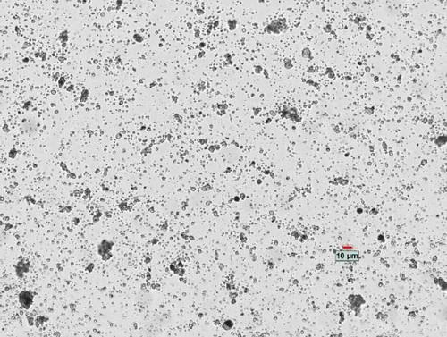 Partica LA-960V2: Advanced Laser Scattering Particle Size Analyzer
