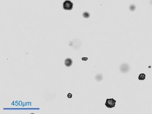 Partica LA-960V2: Advanced Laser Scattering Particle Size Analyzer