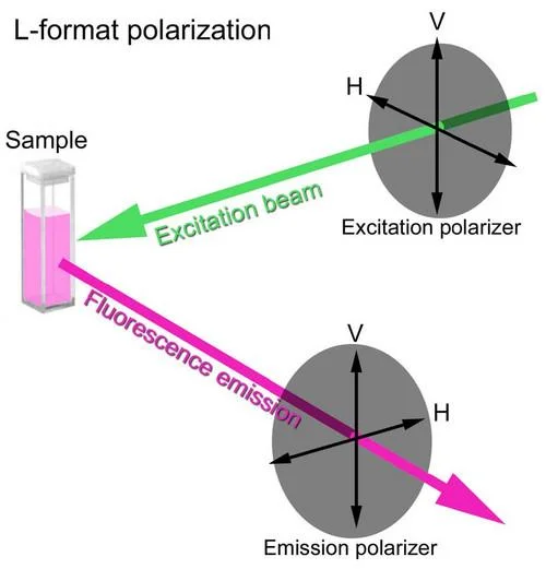 DeltaFlex™: Time-Correlated Single Photon Counting (TCSPC) System