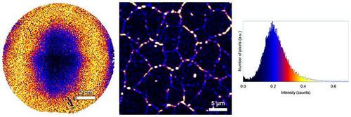 LabRAM: Odyssey Semiconductor Microscope
